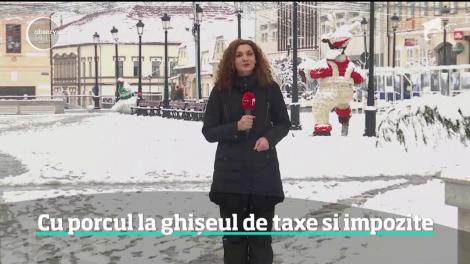 A venit cu porcul la ghişeul de taxe şi impozite