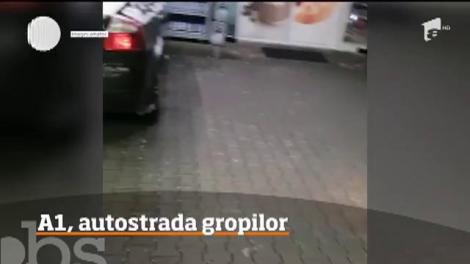 Autostrada Bucureşti-Piteşti s-a transformat, în ultimele zile, într-o capcană extrem de periculoasă pentru şoferi