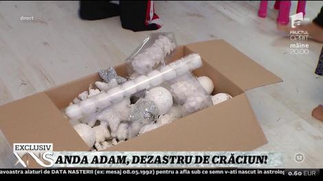 Anda Adam şi soţul ei, Sorin, au împodobit bradul de Crăciun