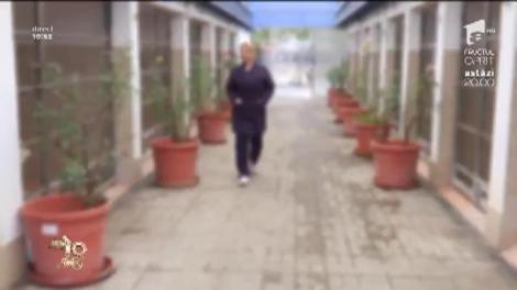 Pleci în vacanță? Unde îți poți lăsa animalul de companie