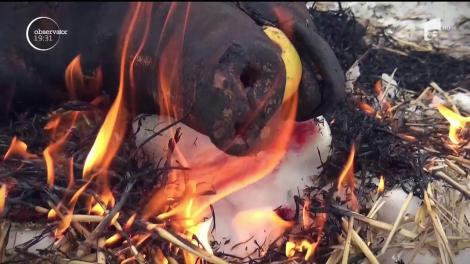 E vremea Ignatului în satele României. Porcii sunt tăiaţi, iar din carnea lor, preparate tradiţionale ajung în afumători pentru a prinde culoare şi aromă până la Crăciun