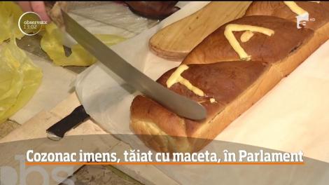 Înarmat cu o macetă şi cu cozonac imens! Aşa a intrat, astăzi, un deputat PNL în Parlament