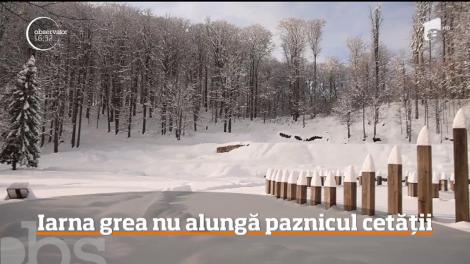 „Fetița” apără ce ne-au lăsat dacii de acum 2000 de ani! Cățelușa refuză să părăsească cetatea, indiferent de vreme, iar localnicii sapă cărare în zăpadă că să îi ducă mâncare