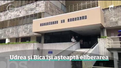 Elena Udrea şi Alina Bica își așteaptă eliberarea din închisoare