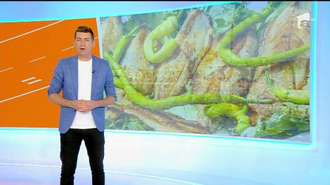 Tips & Trips. Ce să vizitezi &icirc;n Istanbul