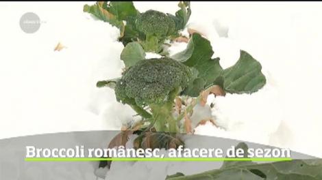 O tânără studentă din Dolj a reuşit să dezvolte o afacere cu broccoli la noi în ţară