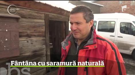 Secretele cărnii de porc ferfect afumate