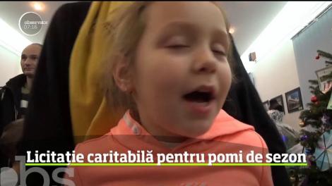 Construiţi din cărţi, ornaţi cu sticle de vin sau aranjaţi în forma unei rochii de mireasă. Brazii creativi din Bistriţa Năsăud au fost prezentaţi ca într-o competiţie, iar totul a avut un scop creativ