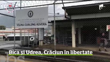Elena Udrea şi Alina Bica îşi petrec Crăciunul în libertate!