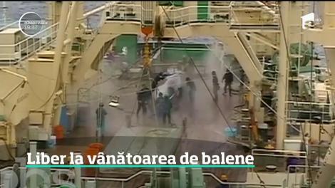 După trei decenii de aşa-zisă pauză, Japonia revine la vechile năravuri