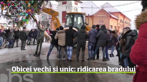 Obicei vechi și unic: ridicarea bradului