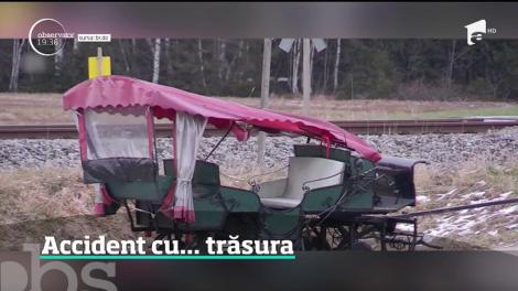 O plimbare cu trăsurile trase de cai s-a sfârşit la spital pentru 20 de turişti, în Bavaria