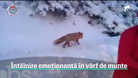 Imagini uluitoare au fost surpinse de turişti, la munte! Un martor, impresionat: ”Nu am mai văzut așa ceva!”
