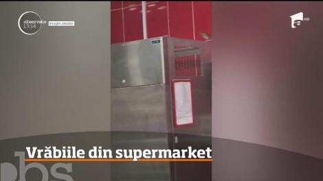 Scene puţin obişnuite filmate de un client într-un supermarket din Dej. Câteva vrăbii stăteau, ca la expoziţie, pe cutiile cu alimente