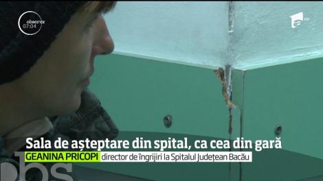 Imagini revoltătoare au fost filmate în sala de aşteptare a Spitalului Judeţean de Urgenţă din Bacău