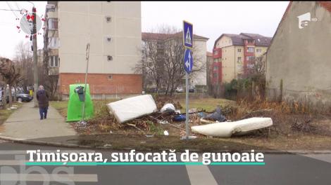 În ajun de an nou, Timişoara este sub asediul gunoaielor!