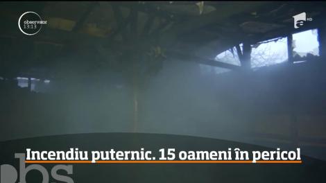 Un depozit de lemne din Timişoara a luat foc! Mai multe case &icirc;n pericol să fie mistuite de flăcări