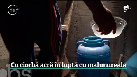 Cele mai bune remedii pentru mahmureală