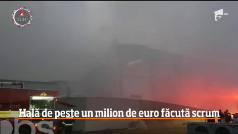 Un abator de peste un milion de euro s-a făcut scrum, &icirc;n judeţul Vaslui