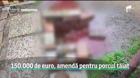 Patru români stabiliţi în Italia riscă o amendă de 150 de mii de euro pentru că au tăiat porcul în curte