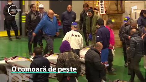 Un ton de 278 de kilograme a fost vândut, la licitaţie, în Japonia. Prețul a fost de peste trei milioane de dolari!