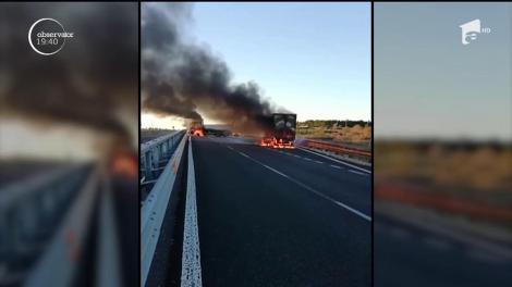 Au dat o lovitură de milioane, cu ajutorul unor excavatoare