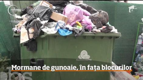 Mormane de gunoaie, în fața blocurilor din Teiuș, județul Alba