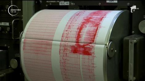 Cutremur de 4,4 pe Richter, în Vrancea