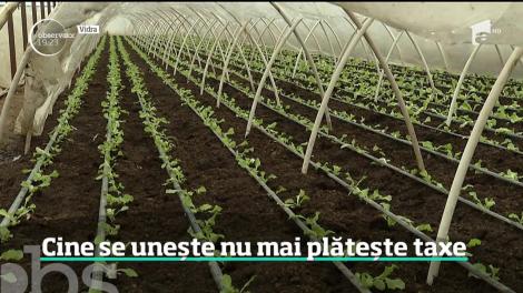 Impozite scutite pentru mulți români! Ce trebuie să facă pentru a scăpa de plată