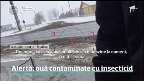 E alertă în România, după ce o sută de mii de ouă posibil contaminate cu insecticid au ajuns pe mesele românilor