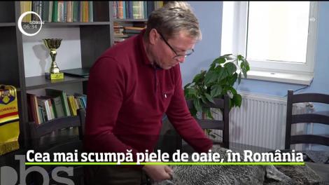 Cea mai valoroasă piele de oaie se găseşte în România