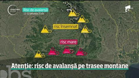 Pericole pentru turiştii de la munte! Un brad a căzut peste cablurile telescaunului din Poiana Braşov