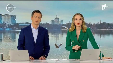 Pelicani salvați de la îngheț, în București