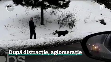 Aglomeraţie pe pârtii în ultima zi de vacanţă a elevilor. Aglomeraţie şi pe drumul de întoarcere acasă
