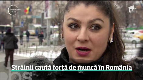 România pierde nouă profesionişti în fiecare oră. În plină criză a forţei de muncă, ne pleacă ingineri, IT-işti, bucătari sau strungari