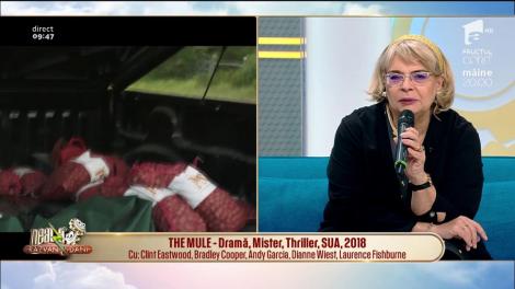 Cronica filmelor care trebuie vizionate: ”The house that Jack Built”, ”The Mule” și ”Bumblebee”