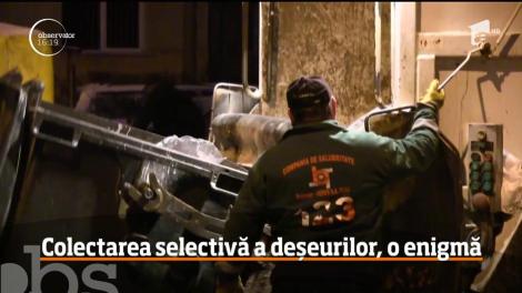 Anul 2019 a adus schimbări majore &icirc;n gestionarea deșeurilor! Cine nu colectează selectiv riscă amenzi uriaşe