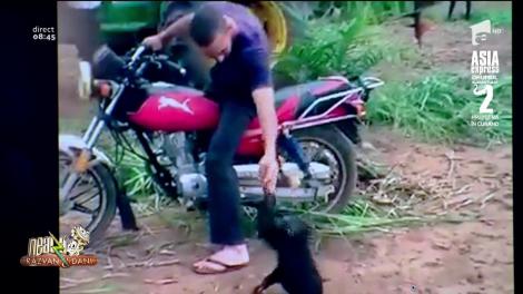 Smiley News. Maimuța care plânge ca un copil mic