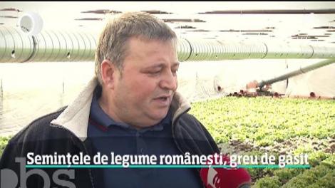 Semințele de legume rom&acirc;nești, greu de găsit