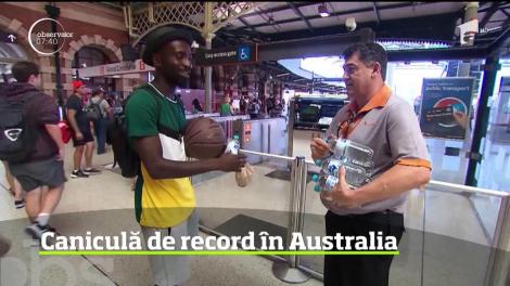 În timp ce Europa este îngropată sub troiene, Australia este sub cod roşu de caniculă