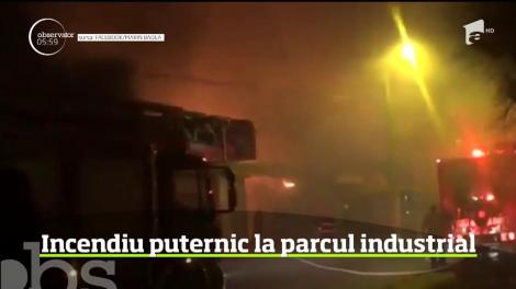 Incendiu violent în Călăraşi. Făcările au pornit în incinta unui parc tehnologic şi s-au extins rapid pe o suprafaţă de aproximativ 1000 de metri pătraţi