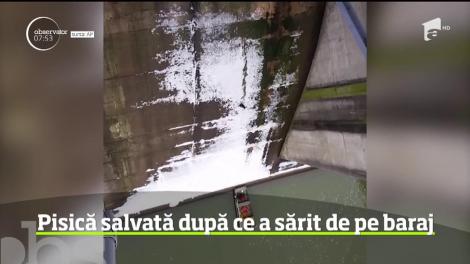 O pisică a fost salvată după ce a rămas blocată pe un baraj