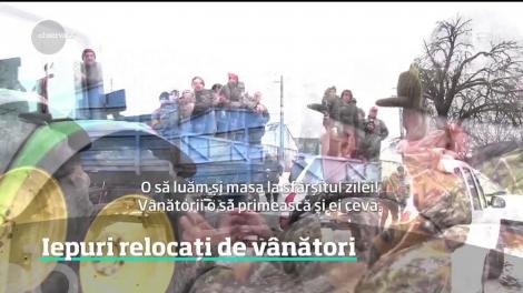 Iepuri relocați de vânători