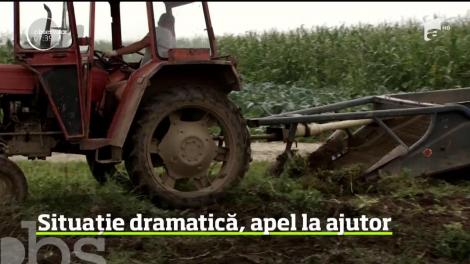 Apel disperat al unui bărbat din Suceava, care, în urma unui accident de muncă, şi-a pierdut mâinile!