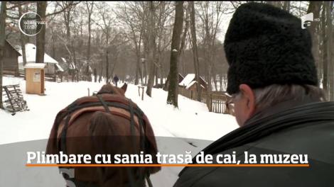 Plimbare cu sania trasă de cai, la muzeul din Dumbrava Sibiului