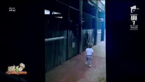 Smiley News. O fetiță pupă toți caii de la o herghelie