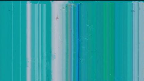 Horia Brenciu, cadou inedit pentru soția sa