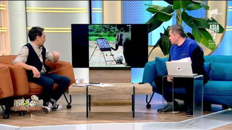 ,,Neatza cu Răzvan și Dani'' Cătălin Oprișan ne face cunoștință cu Suda, elefantul care pictează elefanți mai bine decât mulți oameni