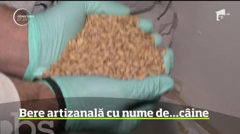 Un fost fotbalist din Târgu Mureş a dat lovitura cu berea artizanală pe care o produce singur