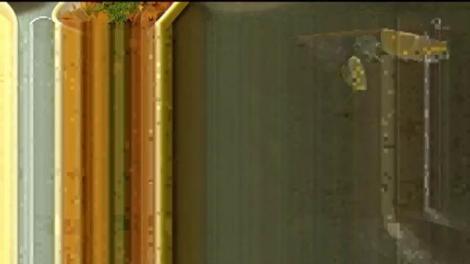 Sărbătoarea Unirii a schimbat şi meniurile restaurantelor! Bucătarii le-au pus pe mesele clienţilor reţete de pe vremea lui Cuza